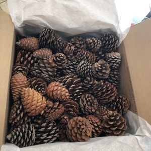 80+PINE CONES All natural holiday wreath making